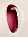 Tongue_1.webp