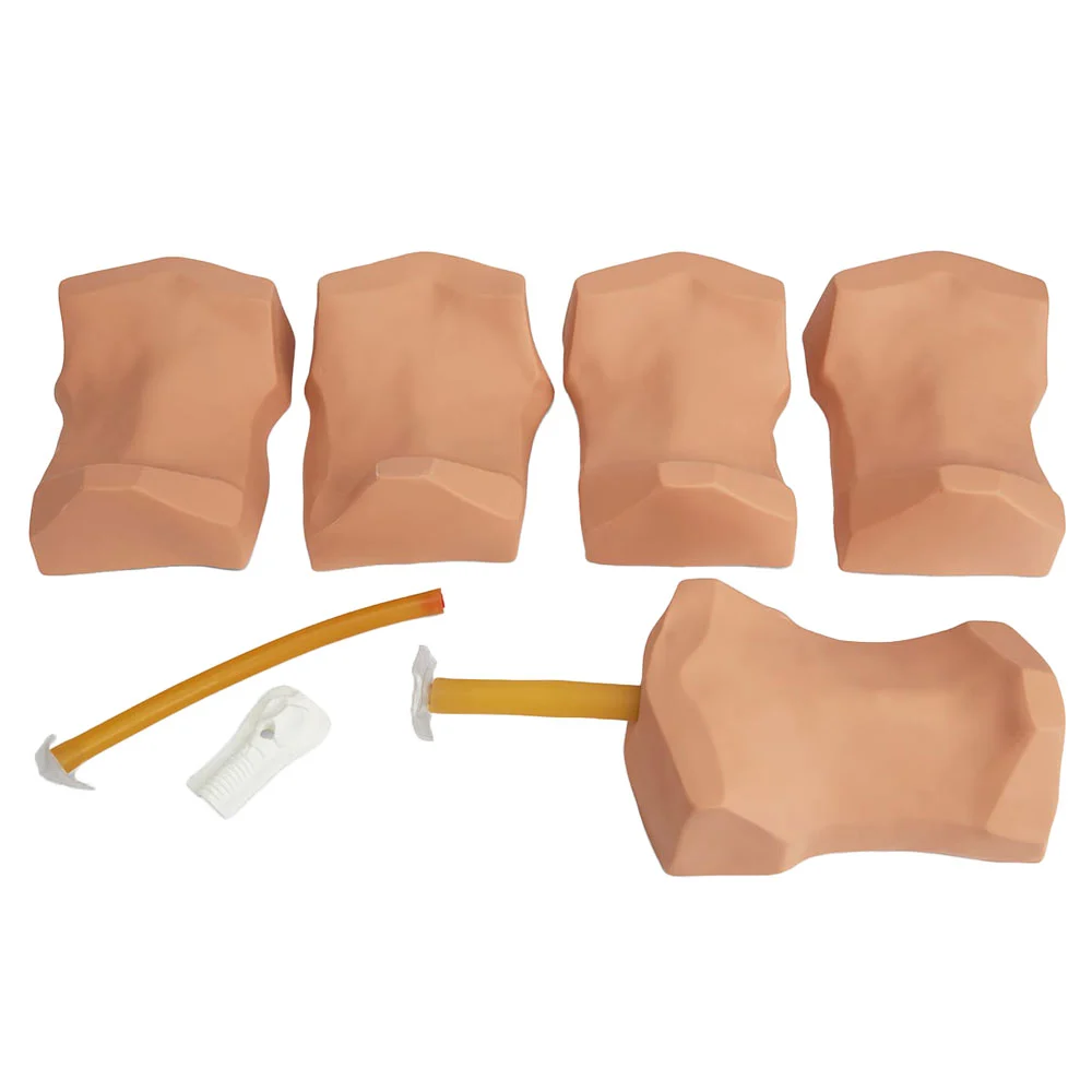 [101-135] Deluxe Cricothyrotomy Simulator