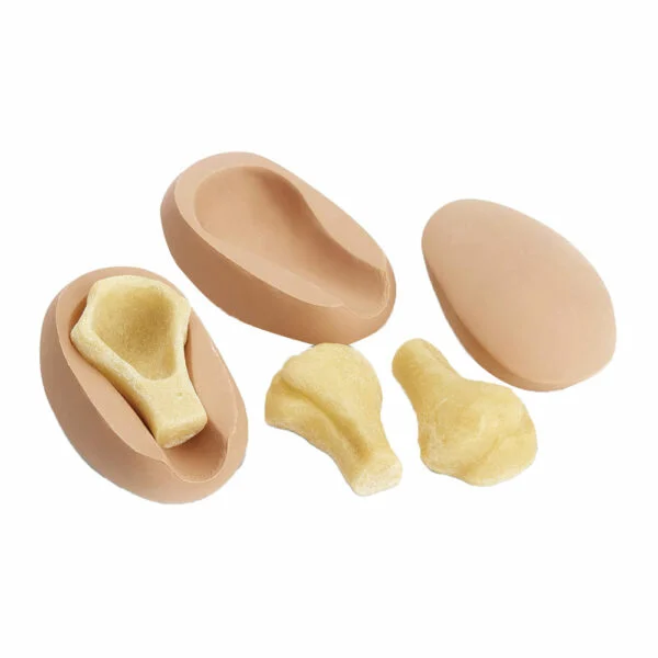 Humerus Injection Pad/Bone