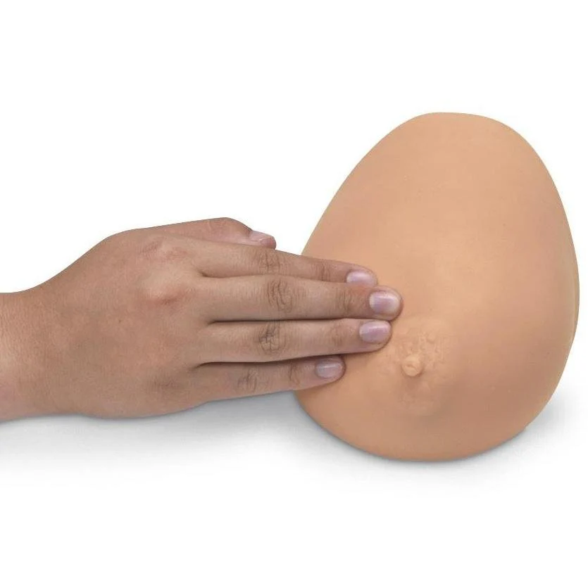 Breast Self Examination Trainer