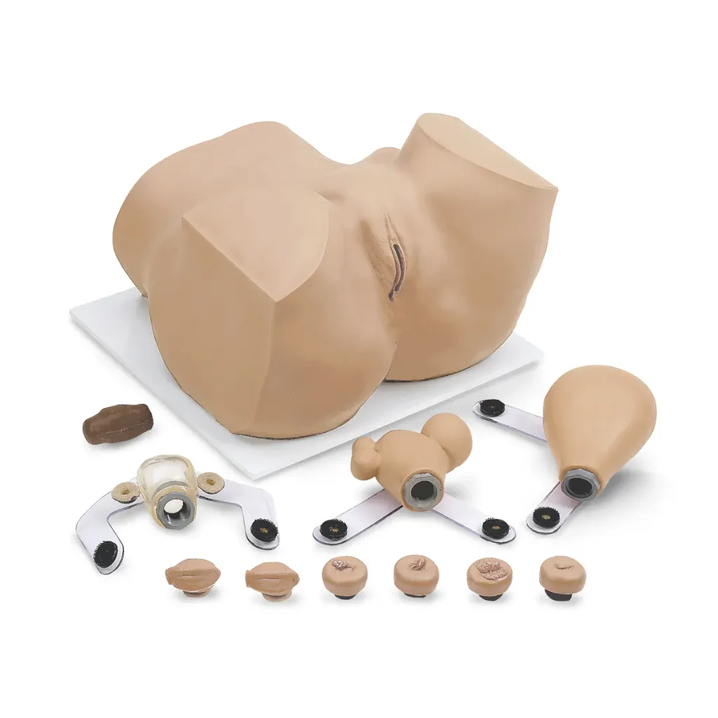 Eva Gynecologic Manikin (with Carry Case)