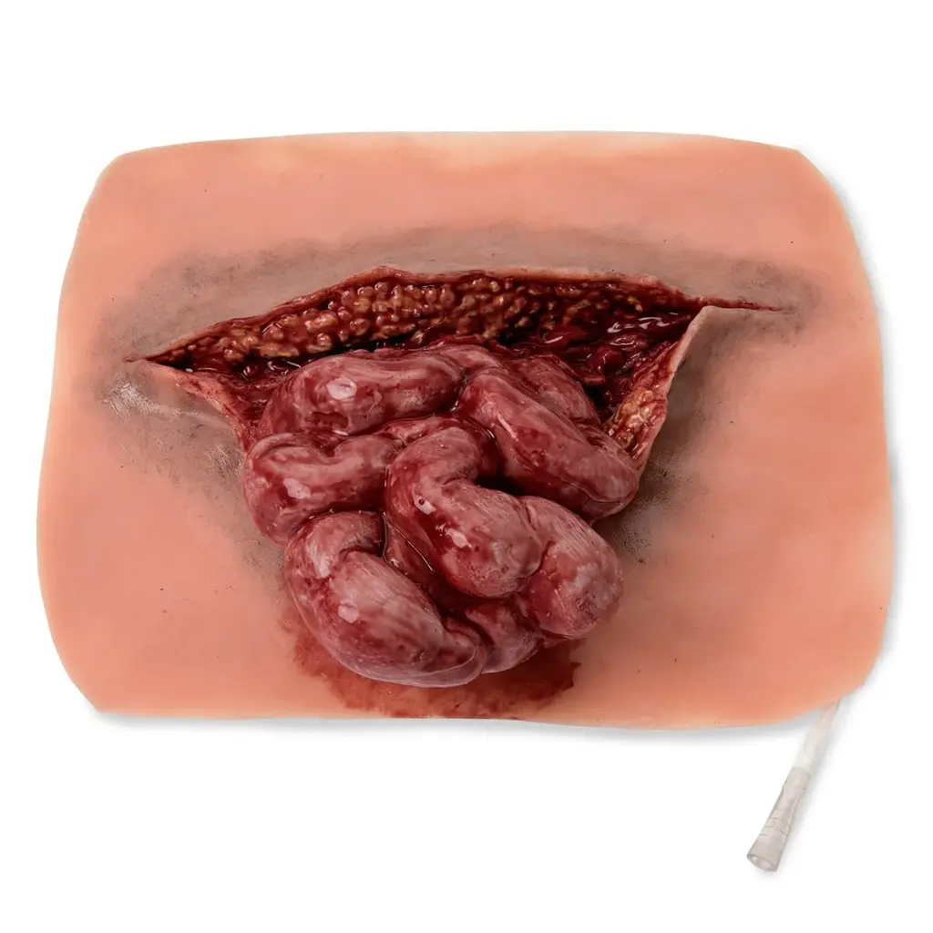 Simulated Eviscerated Intestine