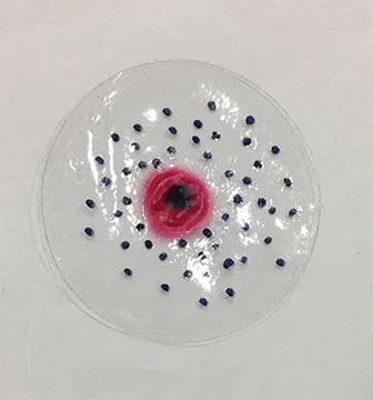 Intermediate Range Flake