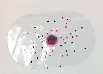 Intermediate Range Round