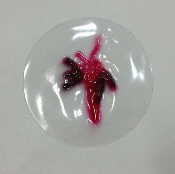 [800-732] Contact Wound