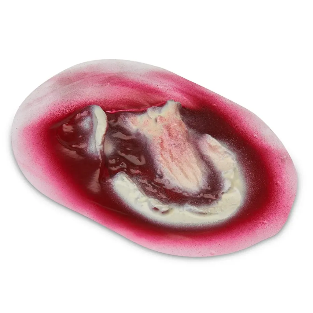 [800-912] Major Avulsion (Stick-on) (8x5cm)