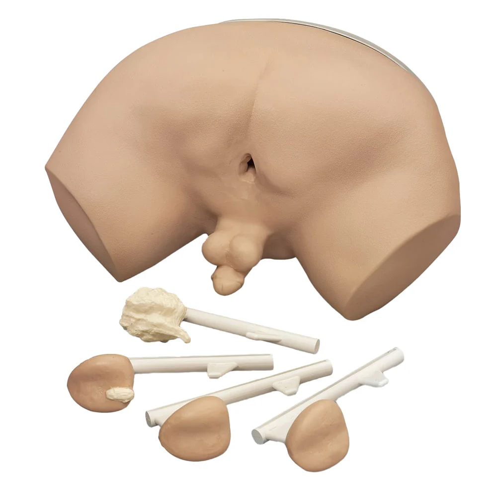 Prostate Examination Simulator