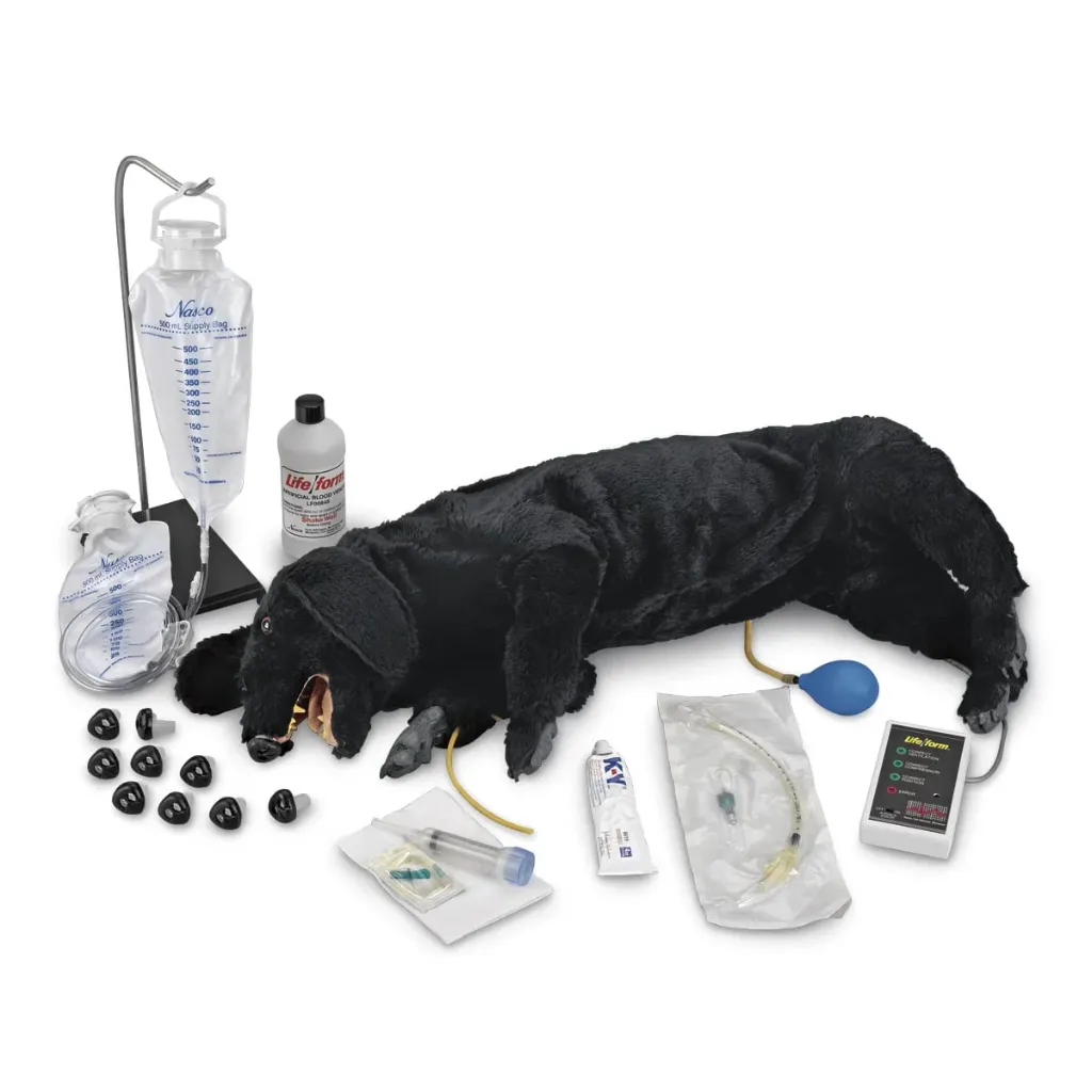 [LF01155] Advanced Sanitary CPR Dog
