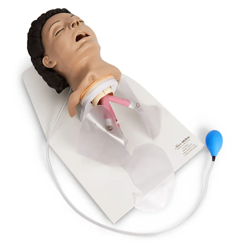 [LF03601] Adult Airway Management Trainer with Stand