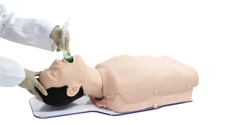 Airway Management Trainer