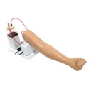 Intravenous Injection Training Arm Model 2 (Fist) (Light)