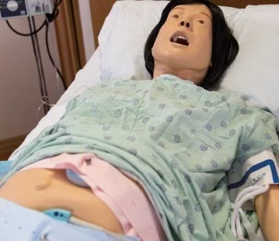 [LF00042] Lucy Maternal/Neonatal Birthing Simulator (Basic)