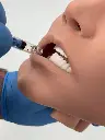 Adult Buccal Injection Trainer