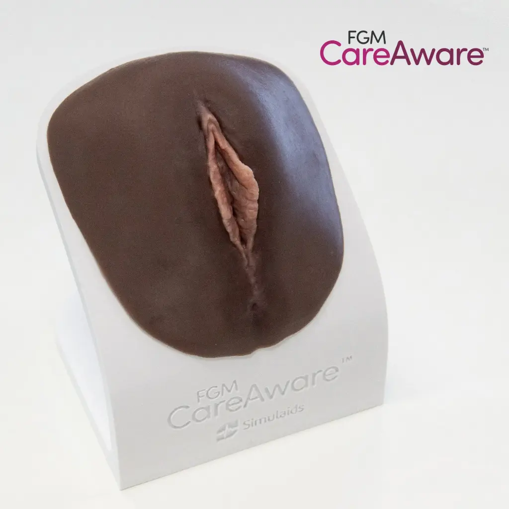 [FGM5] FGM CareAware Identification Models (Set of 5)