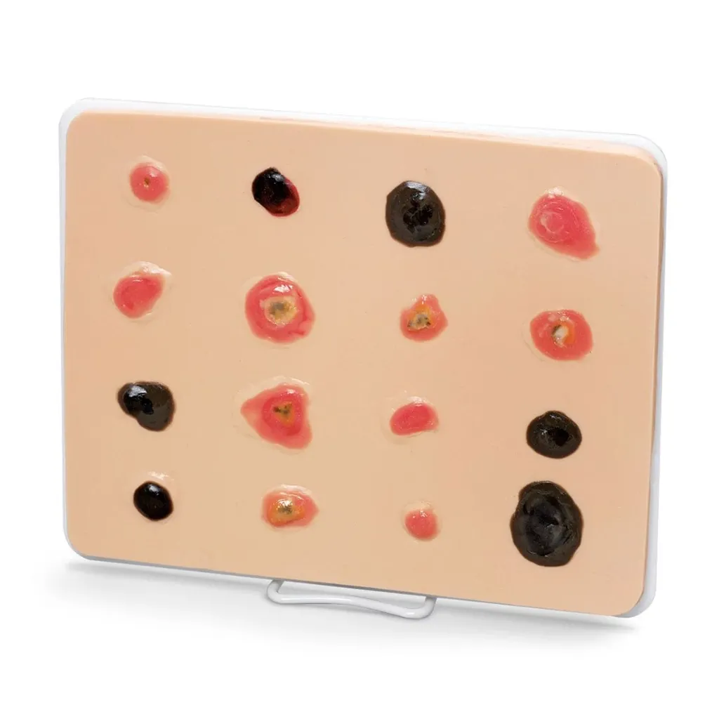 Enlarged Skin Cancer Trainer