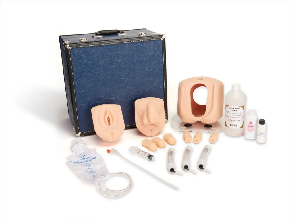 [LF00843] Male/Female Catheterisation Simulator (Light)