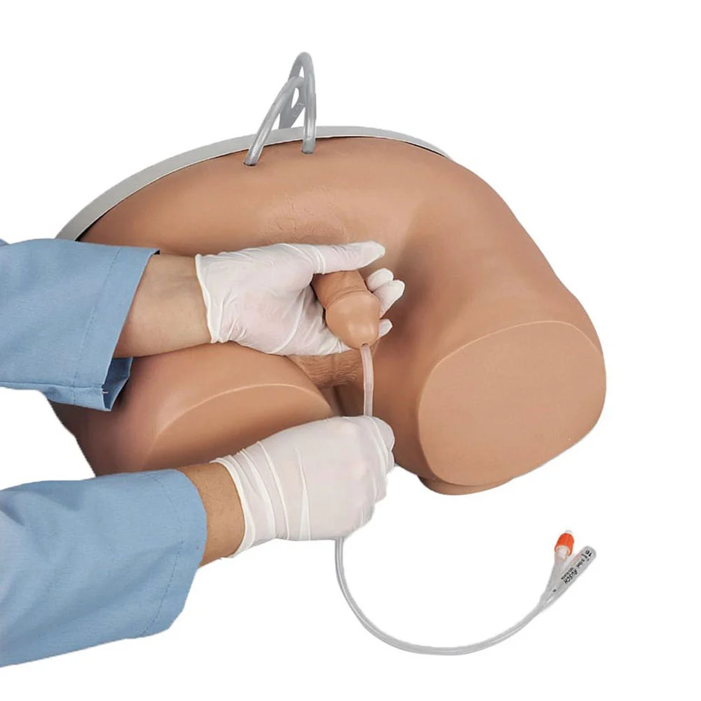 [LF00855] Enhanced Male/Female Catheterisation Task Trainer (Male Only)