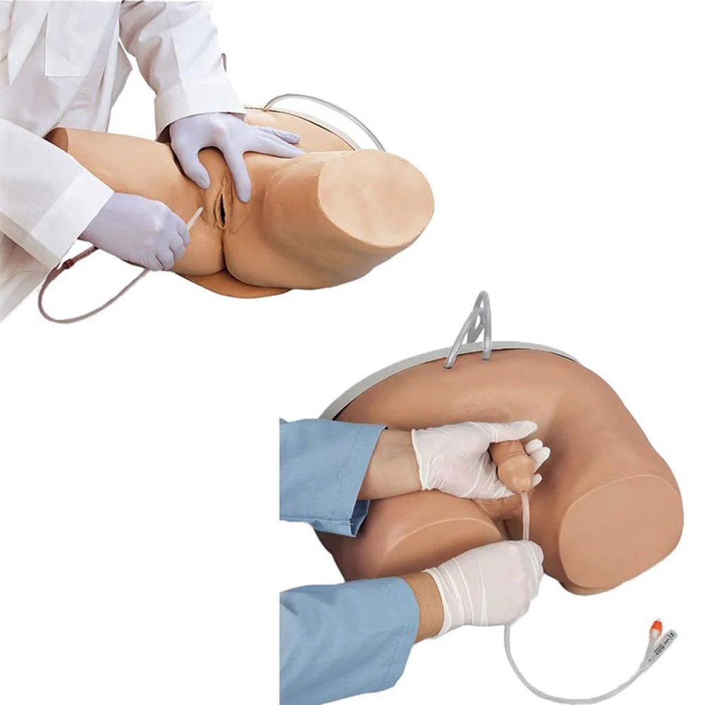 Enhanced Male/Female Catheterisation Task Trainer