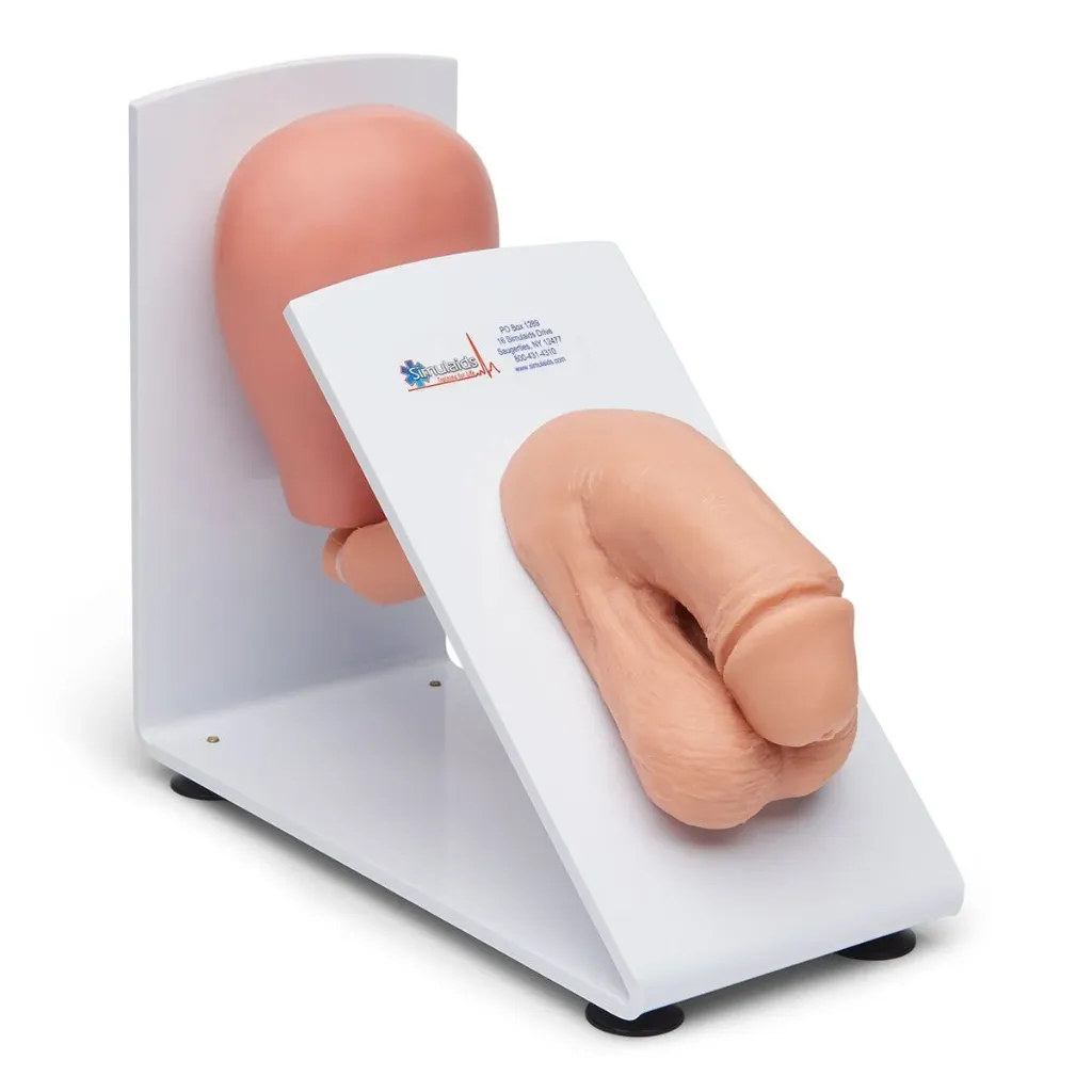Male/Female Catheterisation Trainer