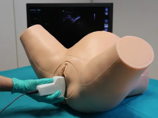 [IUSIM_FS] IUSim Advanced Intrapartum Ultrasound Simulator