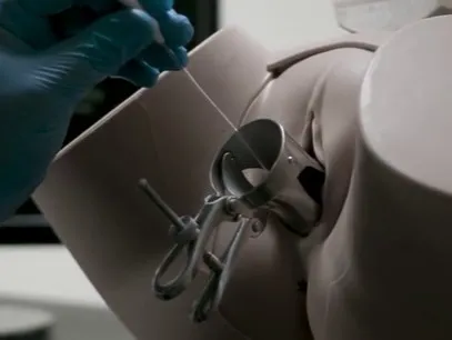 TransferSim Embryo Transfer Procedure Simulator